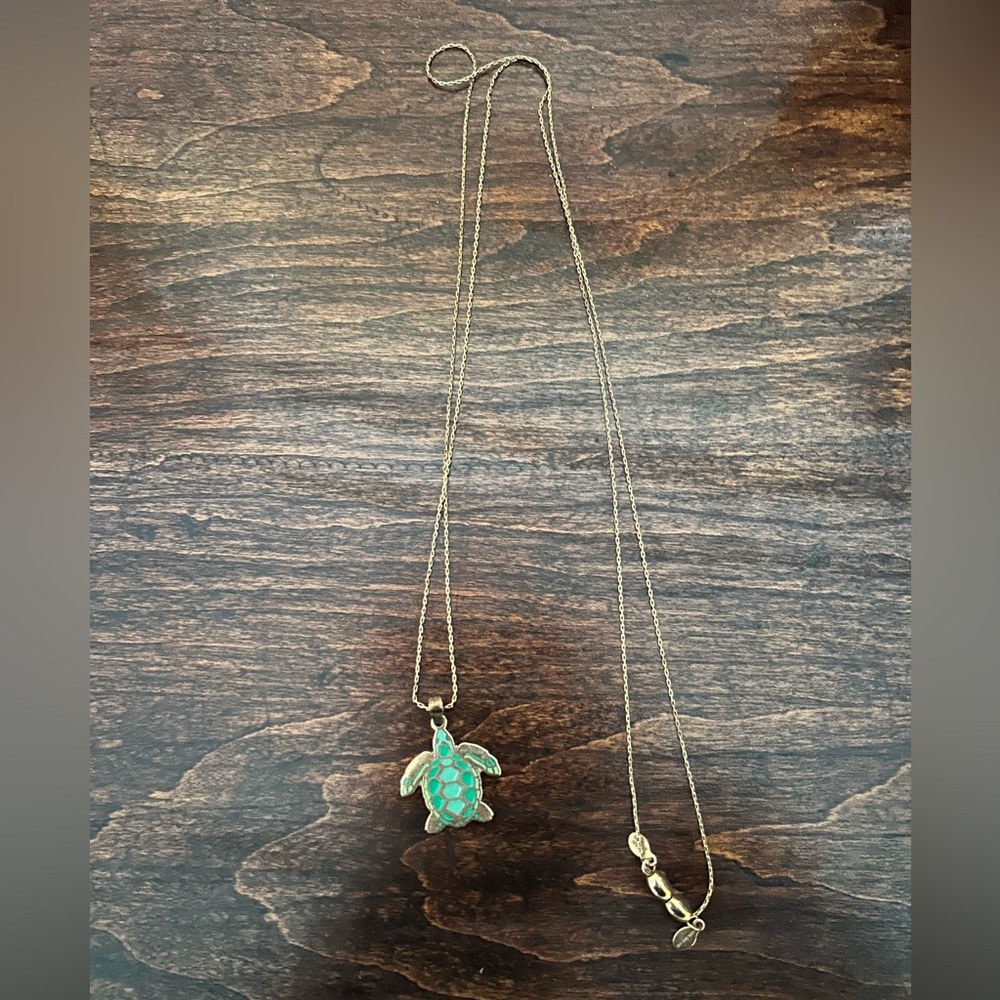 Alex and Ani Go With the Flow Turtle Necklace